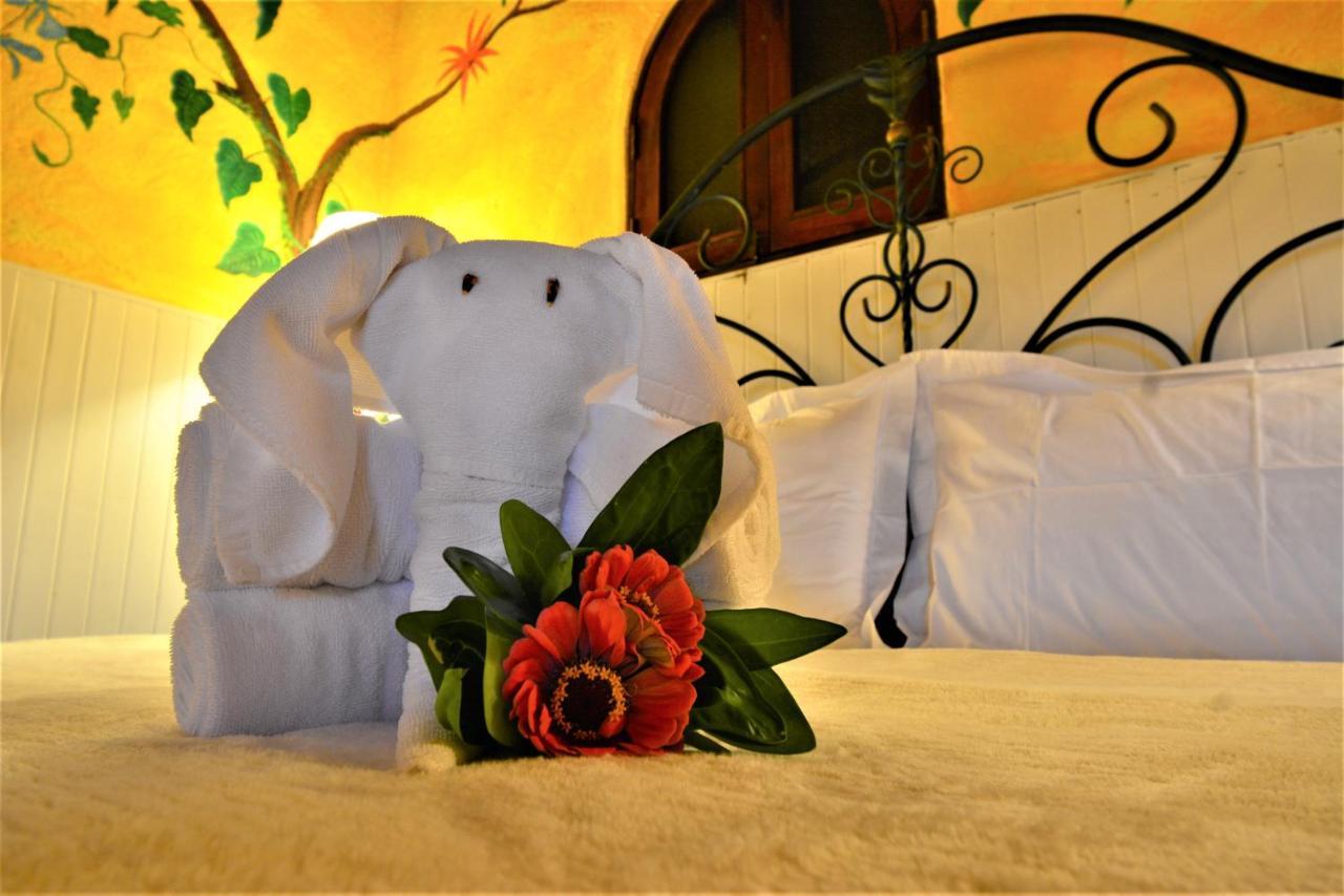 Hotel La Mansion Inn Arenal 누에보 아레날 외부 사진
