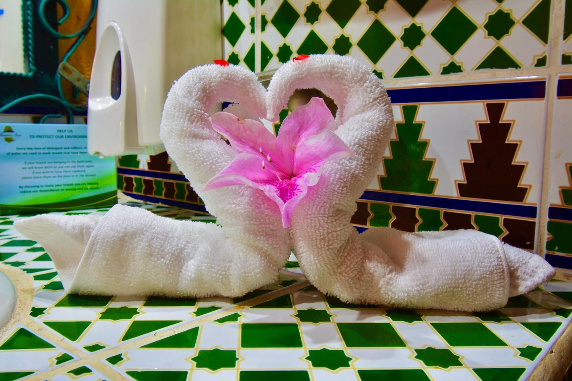 Hotel La Mansion Inn Arenal 누에보 아레날 외부 사진
